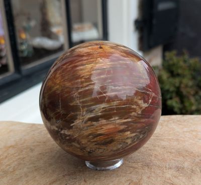 Extra kwaliteit  Bol versteend hout large Extra kwaliteit  Bol versteend hout large