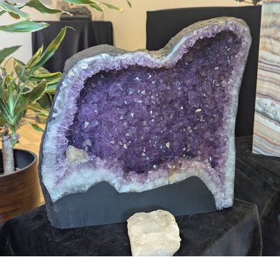 Speciale Amethist Geode met helderpaarse kristallen XL