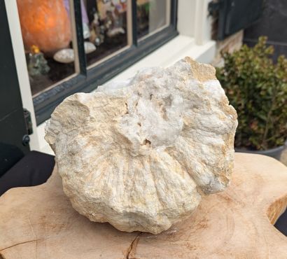 Super Natuur  Marokkaanse Bergkristal geode 'schaal-grot'  XL