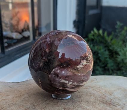 Super  kwaliteit  Bol versteend hout large