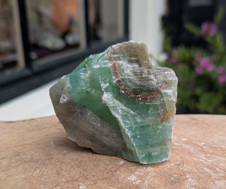 Groene Calsiet ruw 'Emerald' klein
