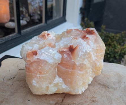 Super kwaliteit Multicalsiet of Regenboogcalsiet extra large