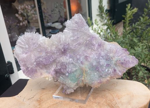 Super kwaliteit Flower Amethist cluster XL