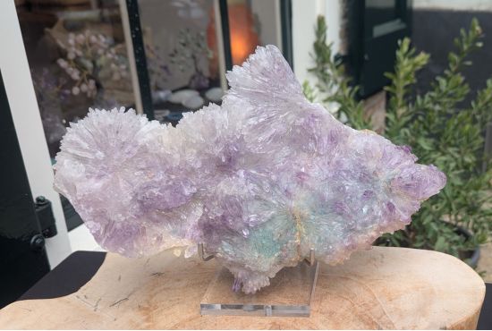 Super kwaliteit Flower Amethist cluster XL